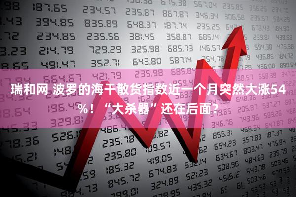 瑞和网 波罗的海干散货指数近一个月突然大涨54%！“大杀器”还在后面？
