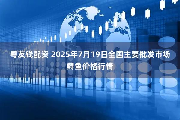 粤友钱配资 2025年7月19日全国主要批发市场鲟鱼价格行情